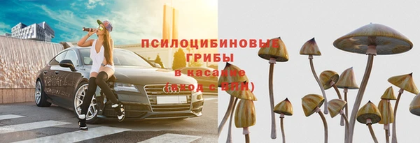 амф Саяногорск
