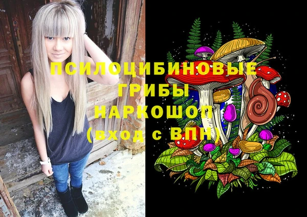 PSILOCYBIN Ветлуга
