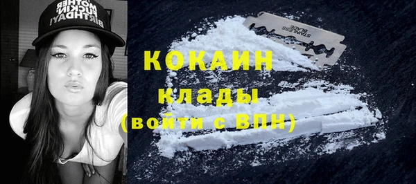 сатива Сафоново